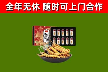 嵊泗县回收冬虫夏草价格